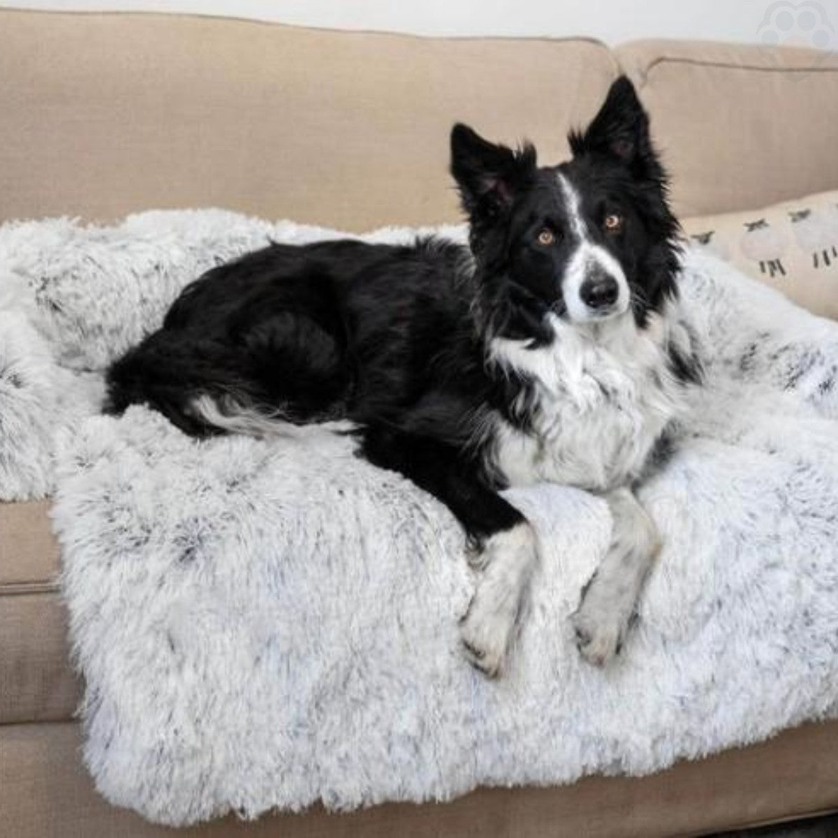 Canapé pour Chien Serenity - Pattes Exclusives