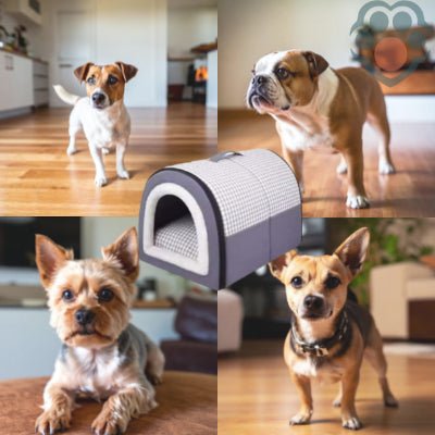niche-pour-chien-Isolation-petite-moyenne-taille