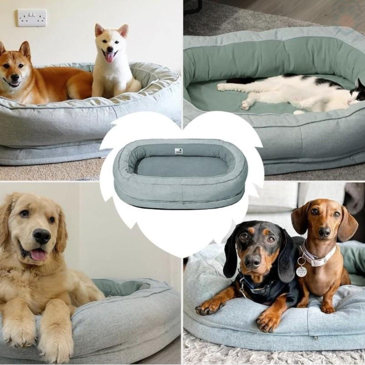 Panier pour chien confortmax - Pattes Exclusives