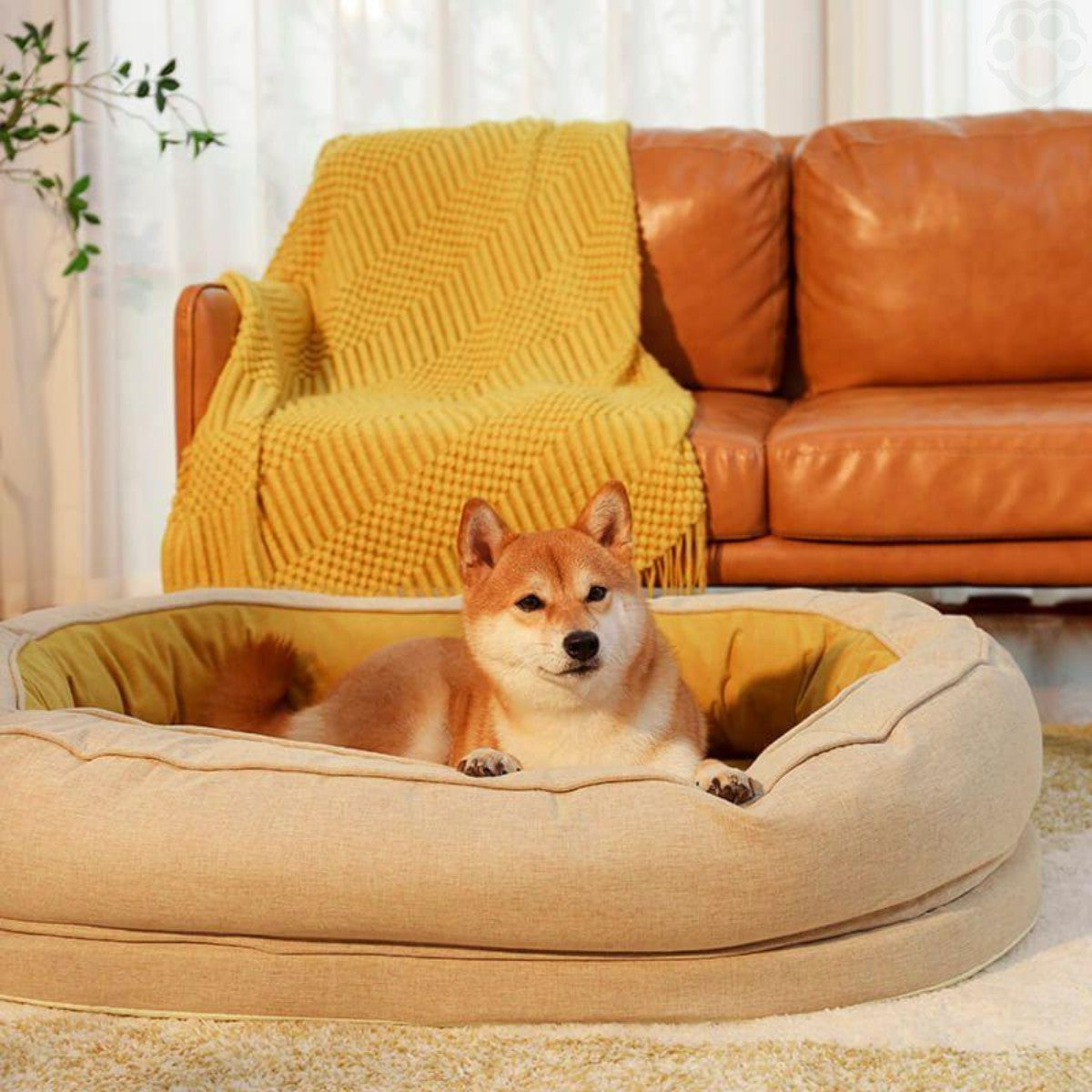 panier-pour-chien-serenity-douillet