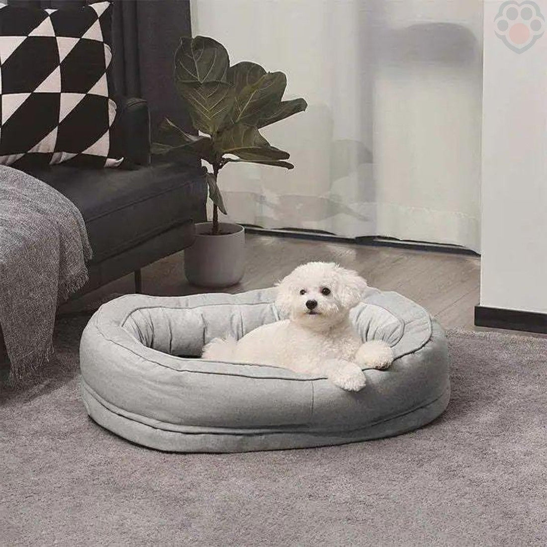Panier chien : Bien-être assuré - Pattes Exclusives