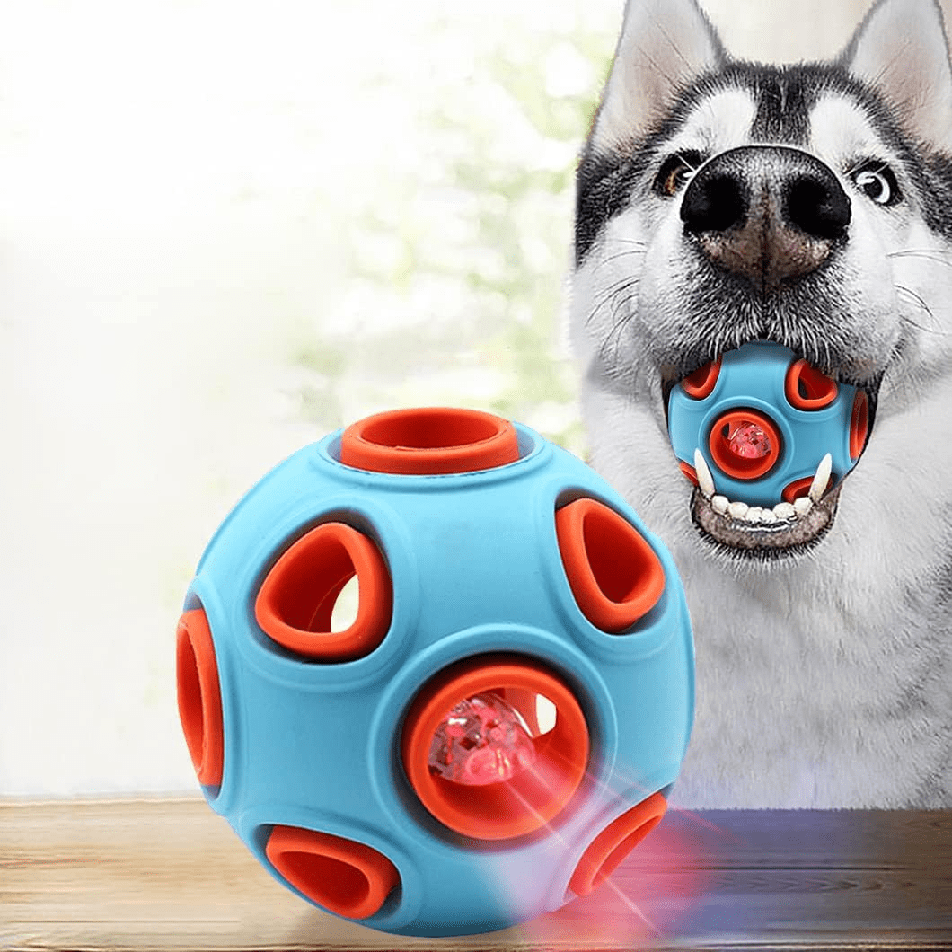 Balle pour chien - DogChewBall™ - Bleu - Pattes Exclusives