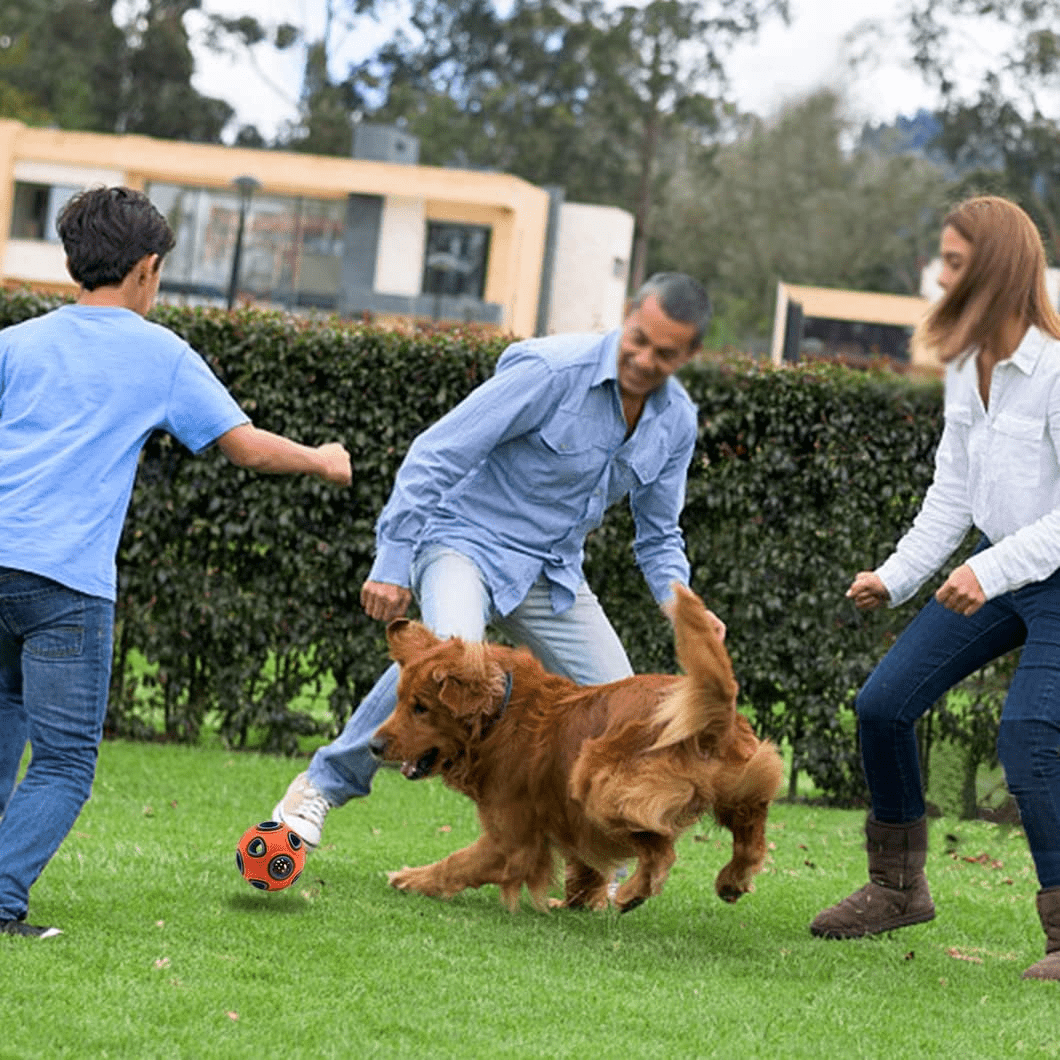 Balle pour chien - DogChewBall™ - Orange - Pattes Exclusives