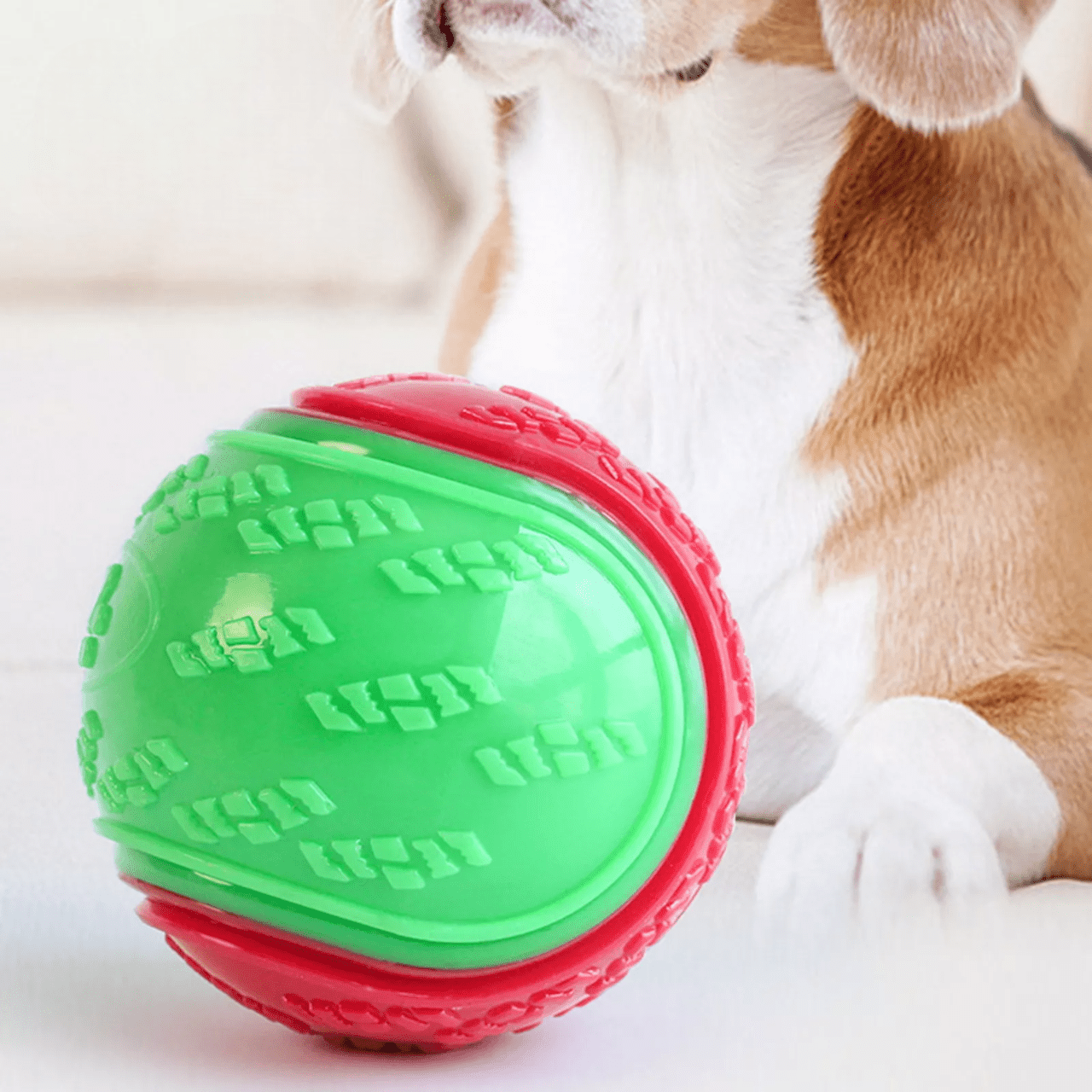 Balle pour Chien - InteractiveToys™ - Vert - Pattes Exclusives