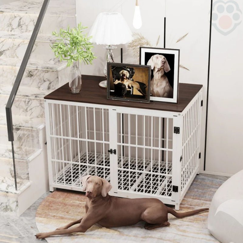 Cage pour chien évolutive et confortable - Pattes Exclusives