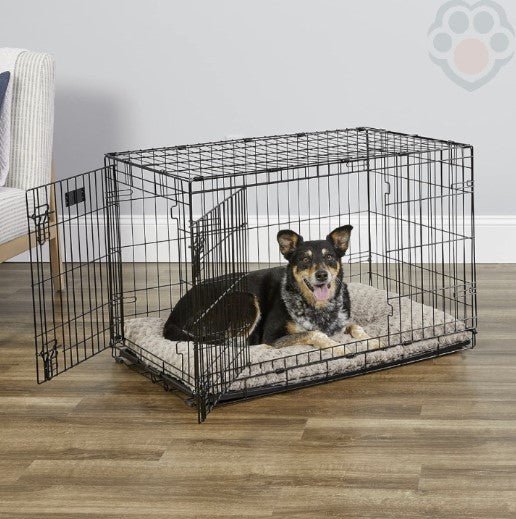 Cage pour chien pliable et robuste - Pattes Exclusives