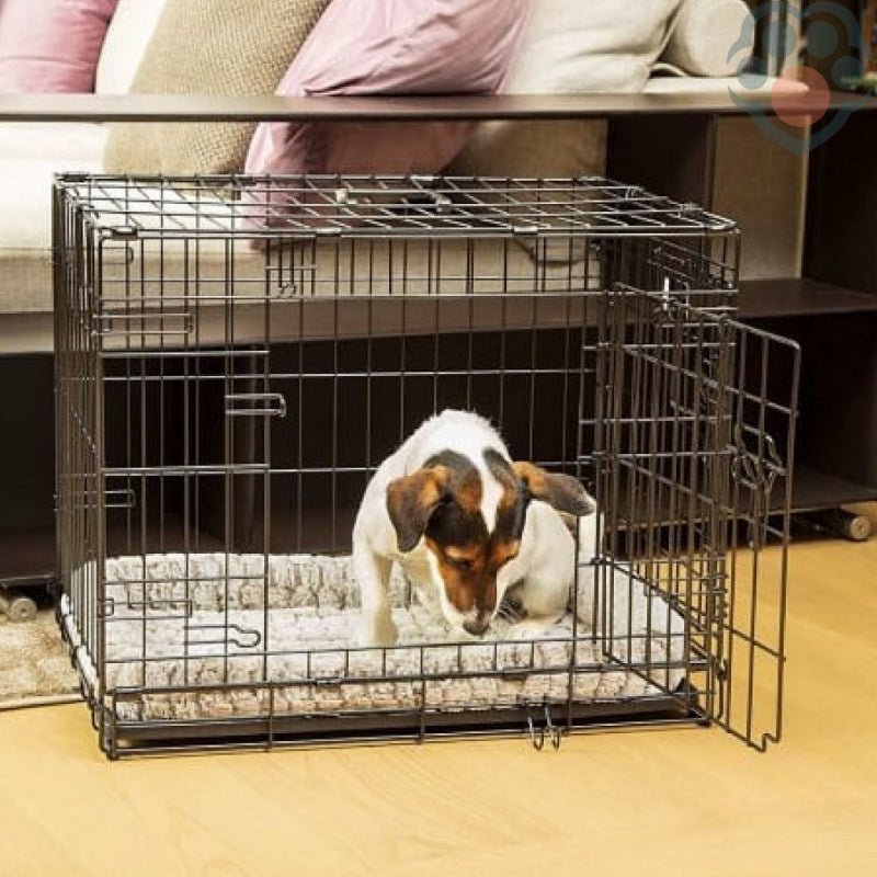 Cage pour chien pliable et robuste - Pattes Exclusives