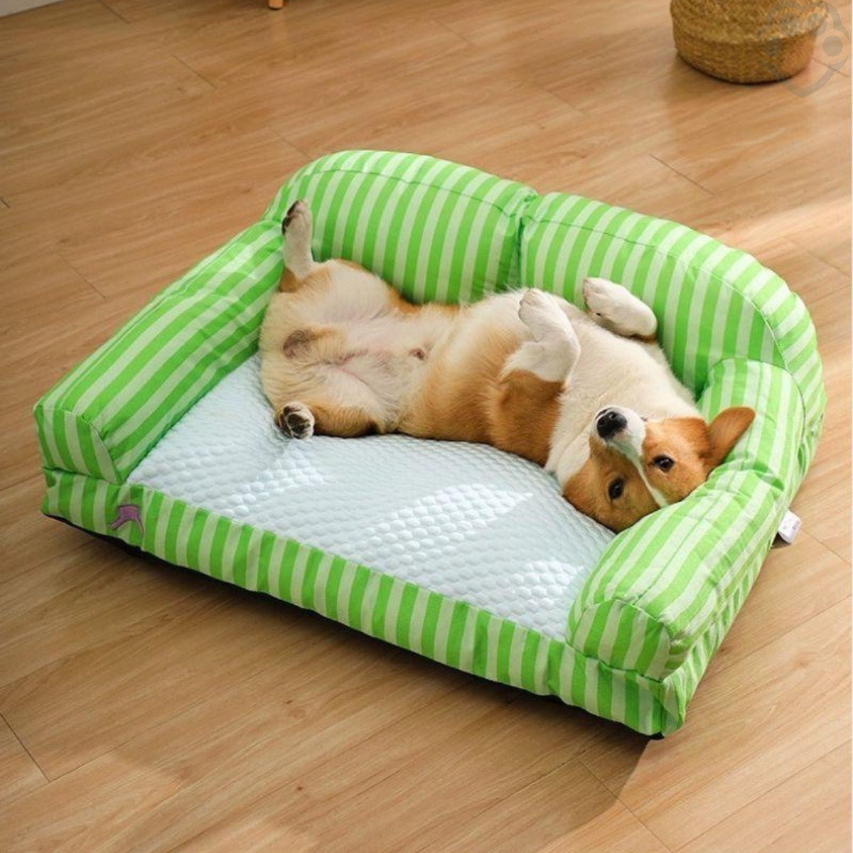 canape-chien-fraicheur-et-confort-garantie