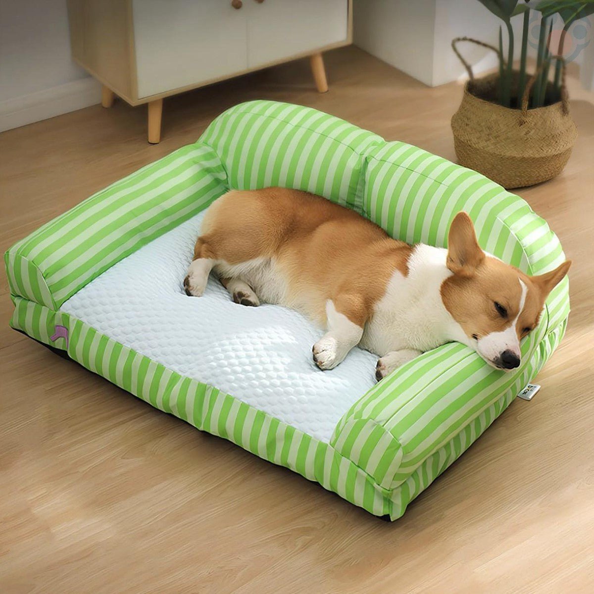 canape-chien-fraicheur-et-confort-rafraichissant