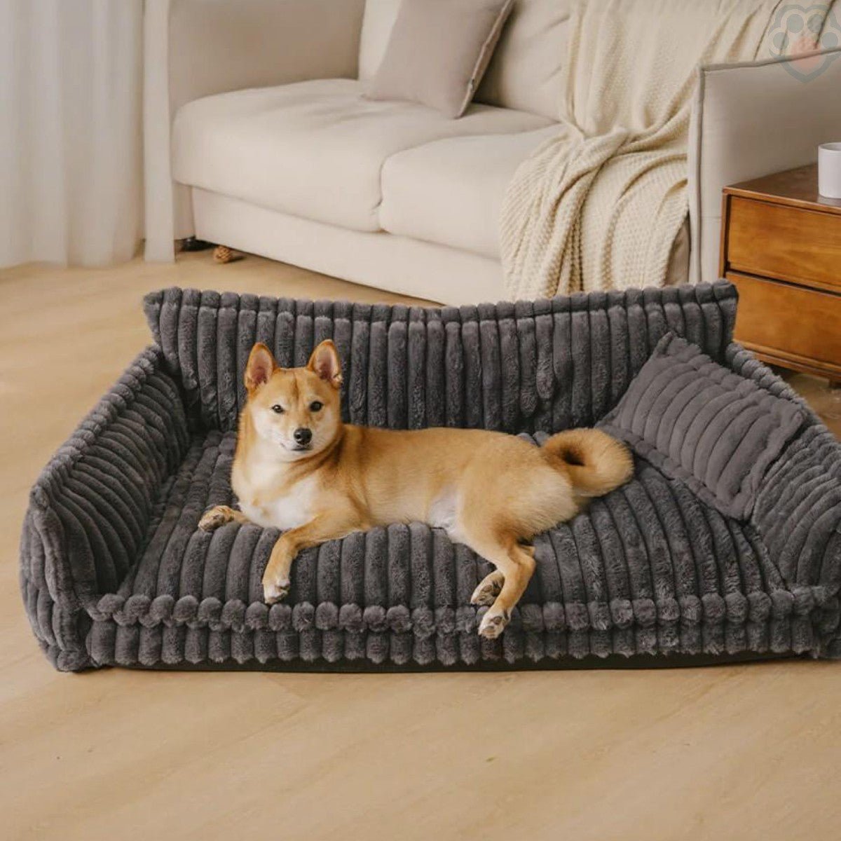 Canapé pour chien relax & repos - Pattes Exclusives