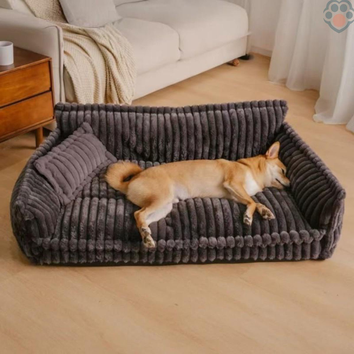 Canapé pour chien relax & repos - Pattes Exclusives