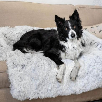 Canapé pour Chien Serenity - Pattes Exclusives