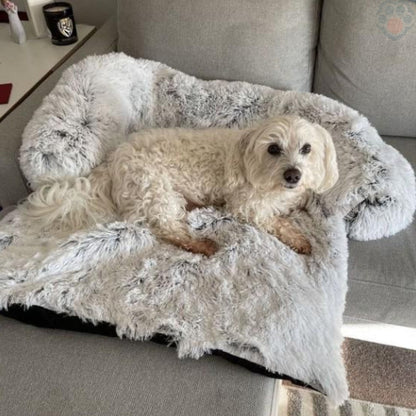 canape-pour-chien-serenity-confort-ultime