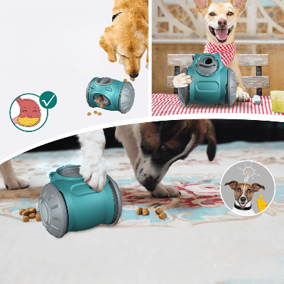 Distributeur de Croquettes pour Chien - BrainChase™ - Turquoise - Pattes Exclusives