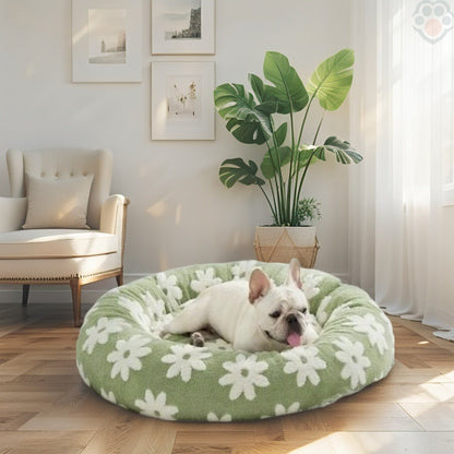 Panier chien nuage enveloppant - Pattes Exclusives